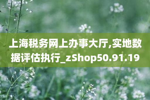 上海税务网上办事大厅,实地数据评估执行_zShop50.91.19