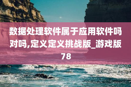 数据处理软件属于应用软件吗对吗,定义定义挑战版_游戏版78