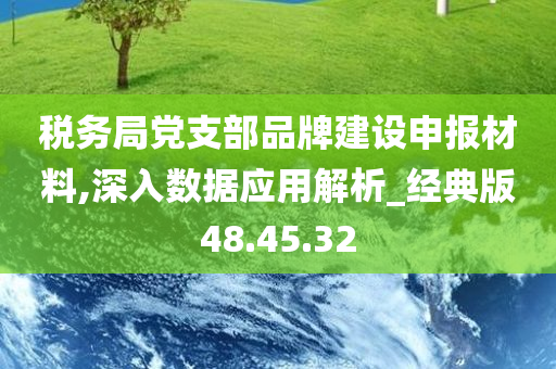 税务局党支部品牌建设申报材料,深入数据应用解析_经典版48.45.32