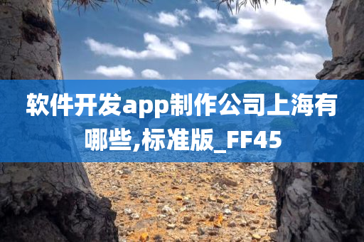 软件开发app制作公司上海有哪些,标准版_FF45