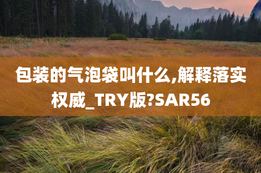 包装的气泡袋叫什么,解释落实权威_TRY版?SAR56