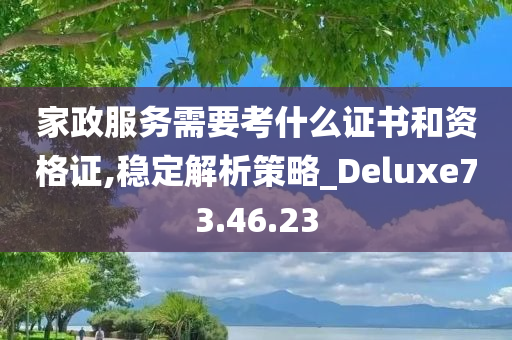 家政服务需要考什么证书和资格证,稳定解析策略_Deluxe73.46.23