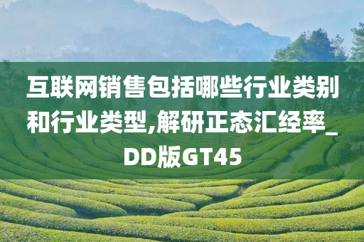 互联网销售包括哪些行业类别和行业类型,解研正态汇经率_DD版GT45