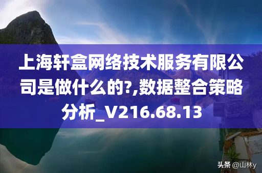 上海轩盒网络技术服务有限公司是做什么的?,数据整合策略分析_V216.68.13