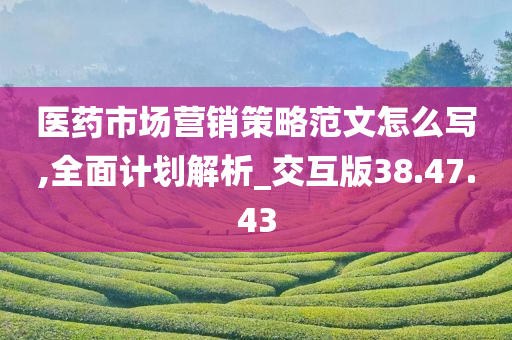 医药市场营销策略范文怎么写,全面计划解析_交互版38.47.43