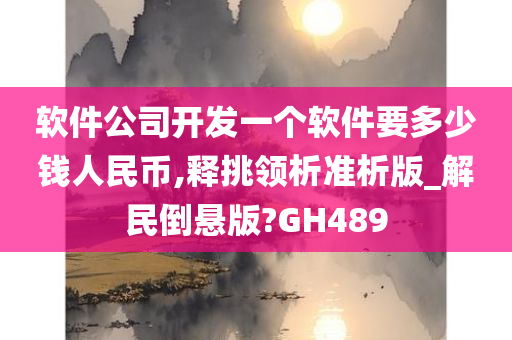 软件公司开发一个软件要多少钱人民币,释挑领析准析版_解民倒悬版?GH489