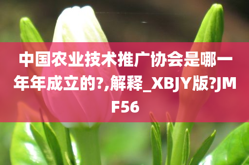 中国农业技术推广协会