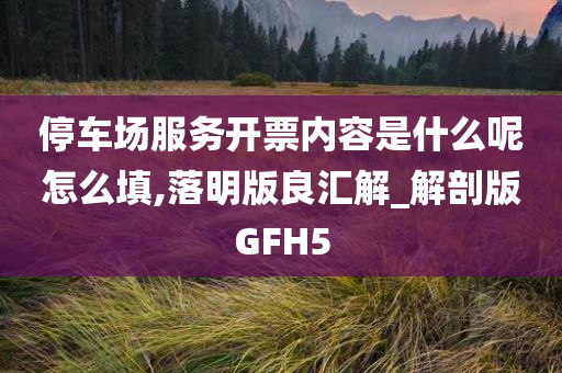 停车场服务开票内容是什么呢怎么填,落明版良汇解_解剖版GFH5