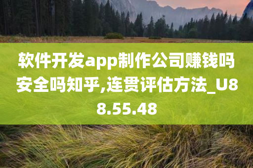 软件开发app制作公司赚钱吗安全吗知乎,连贯评估方法_U88.55.48