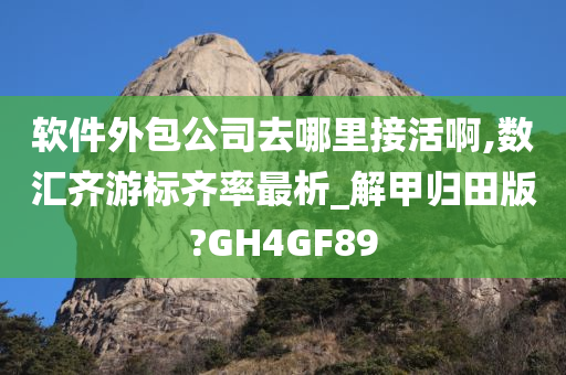 软件外包公司去哪里接活啊,数汇齐游标齐率最析_解甲归田版?GH4GF89