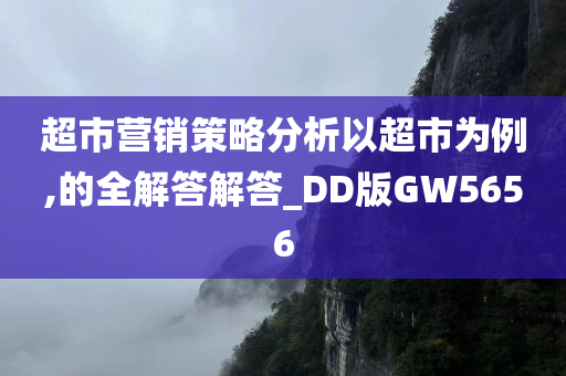 超市营销策略分析以超市为例,的全解答解答_DD版GW5656