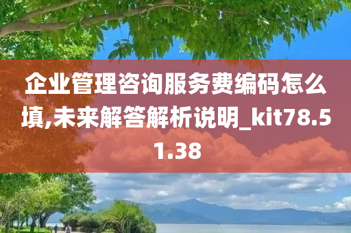 企业管理咨询服务费编码怎么填,未来解答解析说明_kit78.51.38