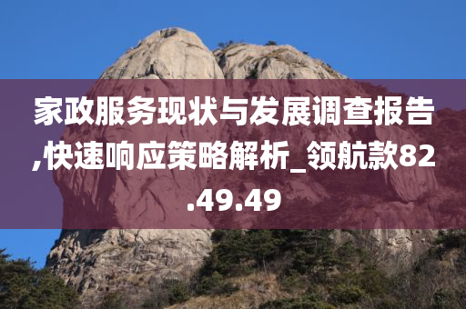 家政服务现状与发展调查报告,快速响应策略解析_领航款82.49.49