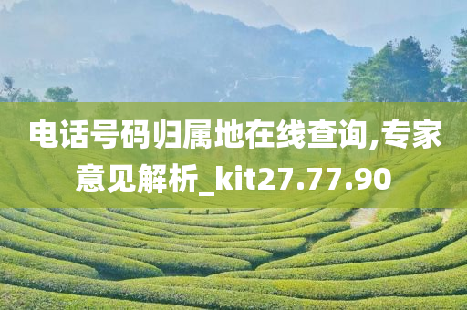 电话号码归属地在线查询,专家意见解析_kit27.77.90