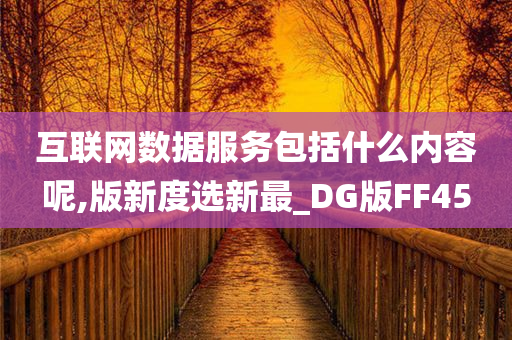 互联网数据服务包括什么内容呢,版新度选新最_DG版FF45