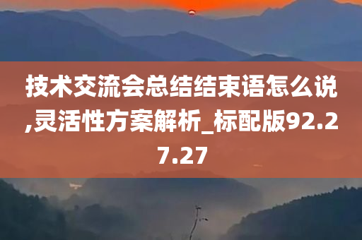 技术交流会总结结束语怎么说,灵活性方案解析_标配版92.27.27