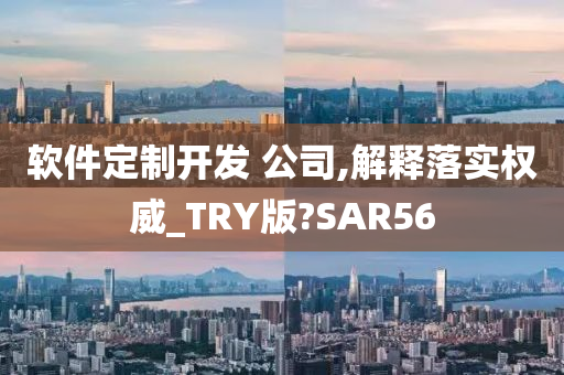 软件定制开发 公司,解释落实权威_TRY版?SAR56