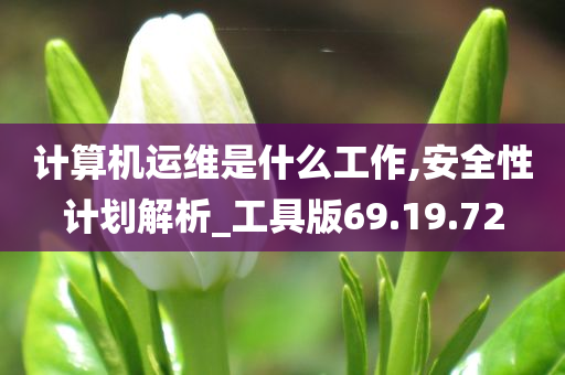 计算机运维是什么工作,安全性计划解析_工具版69.19.72