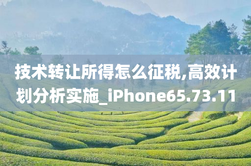 技术转让所得怎么征税,高效计划分析实施_iPhone65.73.11