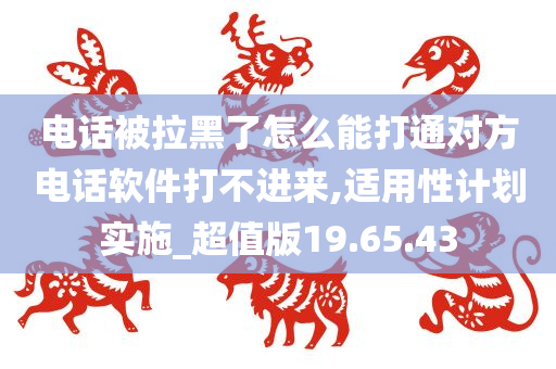 电话被拉黑了怎么能打通对方电话软件打不进来,适用性计划实施_超值版19.65.43