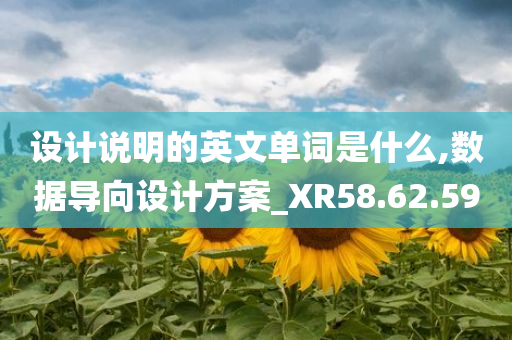 设计说明的英文单词是什么,数据导向设计方案_XR58.62.59