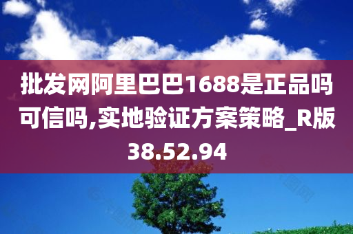 批发网阿里巴巴1688是正品吗可信吗,实地验证方案策略_R版38.52.94