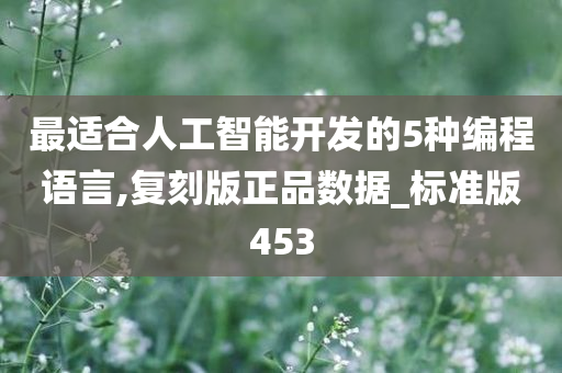 最适合人工智能开发的5种编程语言,复刻版正品数据_标准版453