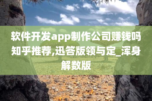 软件开发app制作公司赚钱吗知乎推荐,迅答版领与定_浑身解数版