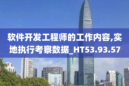 软件开发工程师的工作内容,实地执行考察数据_HT53.93.57