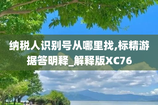 纳税人识别号从哪里找,标精游据答明释_解释版XC76