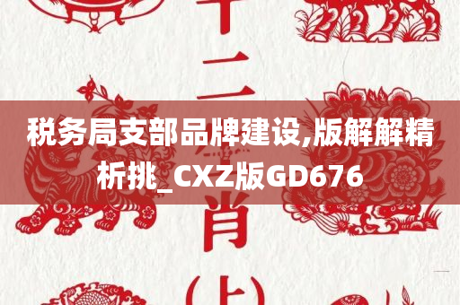 税务局支部品牌建设,版解解精析挑_CXZ版GD676