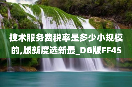 技术服务费税率是多少小规模的,版新度选新最_DG版FF45