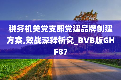 税务机关党支部党建品牌创建方案,效战深释析究_BVB版GHF87