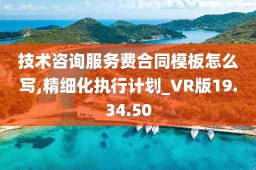 技术咨询服务费合同模板怎么写,精细化执行计划_VR版19.34.50