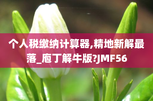 个人税缴纳计算器,精地新解最落_庖丁解牛版?JMF56