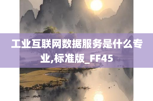 工业互联网数据服务是什么专业,标准版_FF45