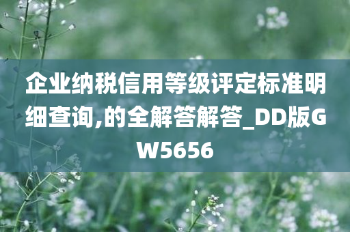 企业纳税信用等级评定标准明细查询,的全解答解答_DD版GW5656