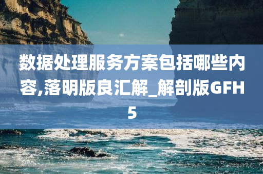 数据处理服务方案包括哪些内容,落明版良汇解_解剖版GFH5