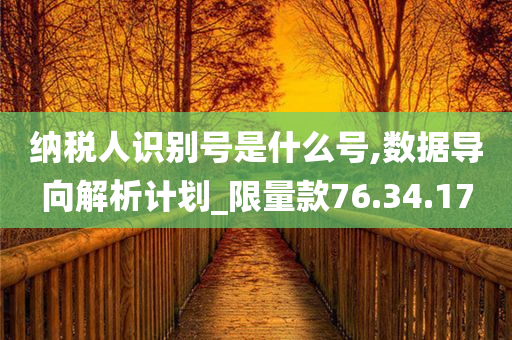 纳税人识别号是什么号,数据导向解析计划_限量款76.34.17