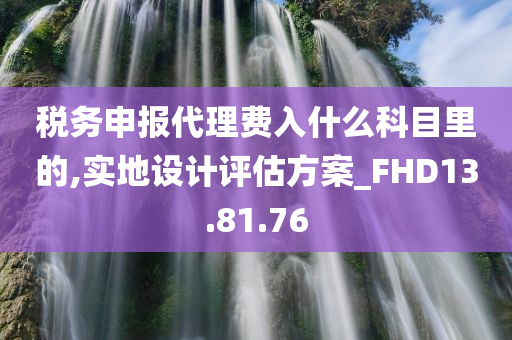 税务申报代理费入什么科目里的,实地设计评估方案_FHD13.81.76