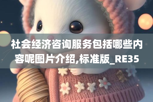 社会经济咨询服务包括哪些内容呢图片介绍,标准版_RE35