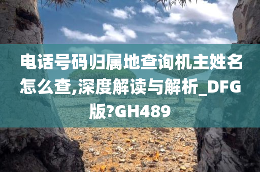 电话号码归属地查询机主姓名怎么查,深度解读与解析_DFG版?GH489