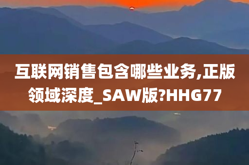 互联网销售包含哪些业务,正版领域深度_SAW版?HHG77