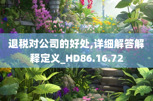 退税对公司的好处,详细解答解释定义_HD86.16.72