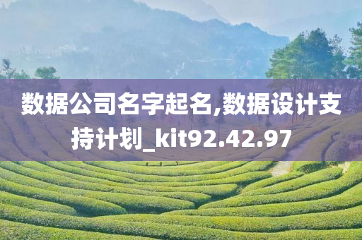 数据公司名字起名,数据设计支持计划_kit92.42.97