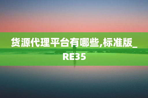 货源代理平台有哪些,标准版_RE35