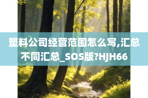 塑料公司经营范围怎么写,汇总不同汇总_SOS版?HJH66