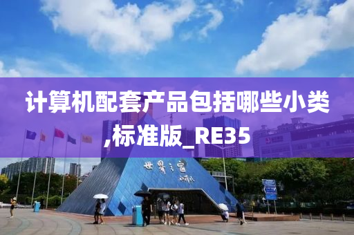 计算机配套产品包括哪些小类,标准版_RE35