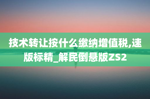 技术转让按什么缴纳增值税,速版标精_解民倒悬版ZS2