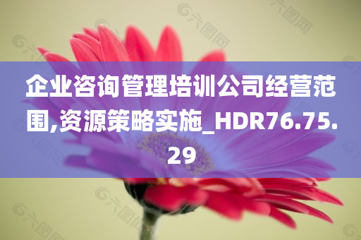 企业咨询管理培训公司经营范围,资源策略实施_HDR76.75.29